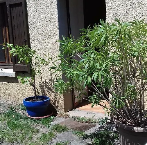 Chez Prenoncaou Дом отдыха Domeyrat